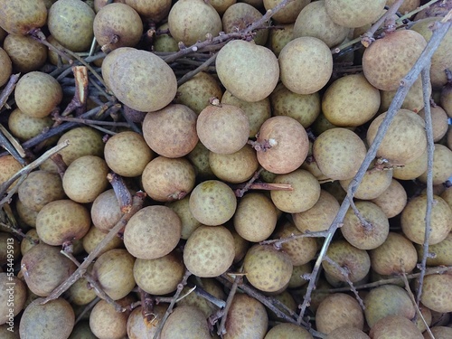 Dimocarpus longan