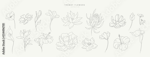 Set of luxury flowers and logo. Trendy botanical elements. Hand drawn line leaves branches and blooming. Wedding elegant wildflowers for invitation save the date card. Vector