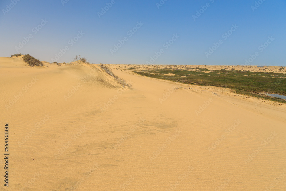 Desert off the coast of the Atlantic Ocean, Walvis Bay. Swakopmund, Namibia.