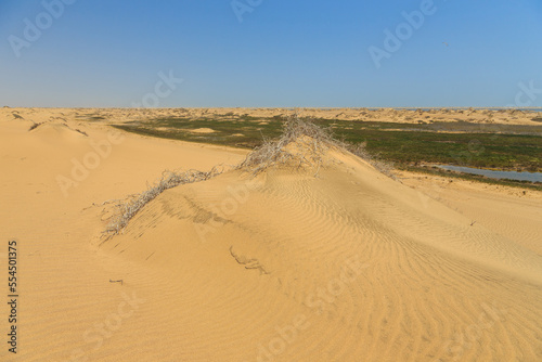 Desert off the coast of the Atlantic Ocean  Walvis Bay. Swakopmund  Namibia.