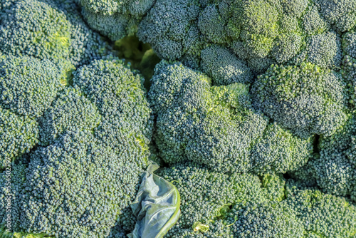 Fresh broccoli cauliflower for sale in the market