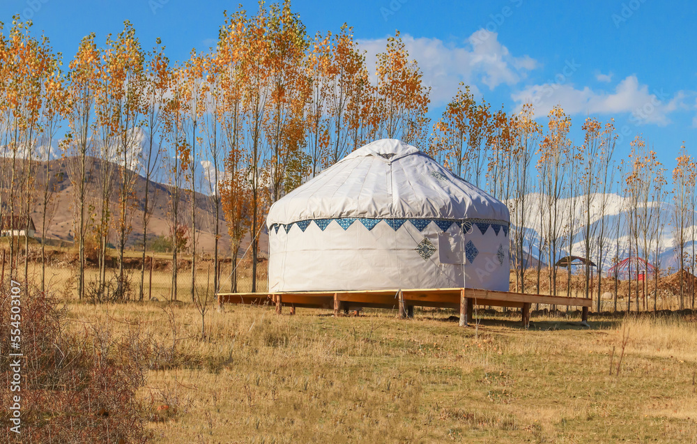 A white yurt against the background of young poplar trees in the mountains. The dwelling of nomad breeders.