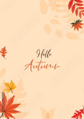 Colorful Autumn fall leaves floral background illustration