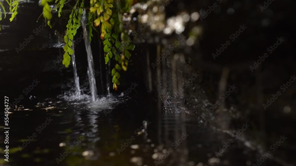 waterfall in the park waterfall in the park