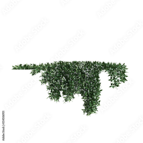 3d illustration of hanging flower isolated on transparent background