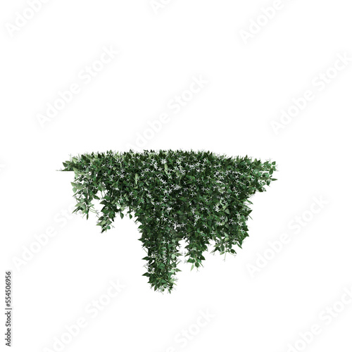 3d illustration of hanging flower isolated on transparent background