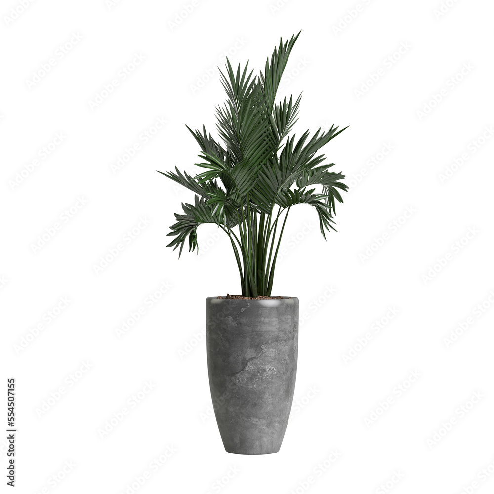 3d illustration of potted plant isolated on transparent background - obrazy, fototapety, plakaty 