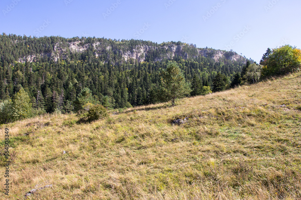 the beginning of autumn, nature walks, a mountain river and a panoramic view of the mountains, hiking trails and recreation in the mountains.* the beginning of autumn, nature walks, a mountain river and a panoramic view of the mountains, hiking trails and recreation in the mountains.*