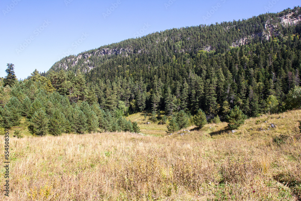 the beginning of autumn, nature walks, a mountain river and a panoramic view of the mountains, hiking trails and recreation in the mountains.*