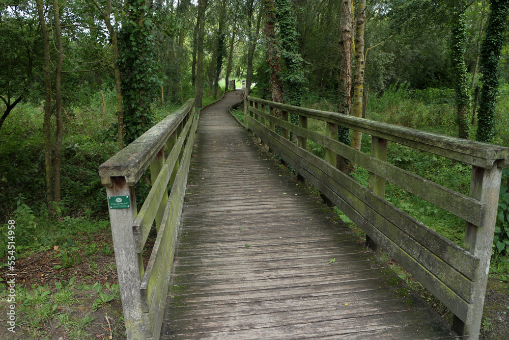 Trail along the Canal d'Eu a la mer - Eu - Seine Maritime - Normandie - France