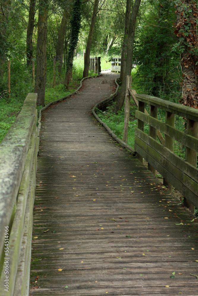 Trail along the Canal d'Eu a la mer - Eu - Seine Maritime - Normandie - France