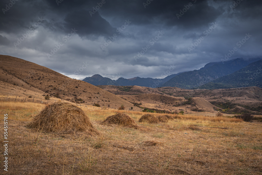 harvested hay in stacks in the mountains harvested hay in stacks in the mountains