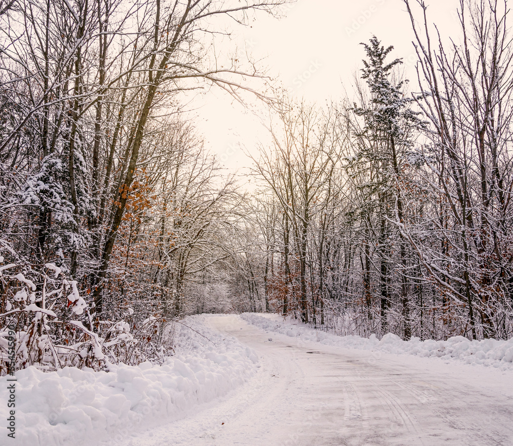 Fototapeta premium a snow covered trail with the sun shining through