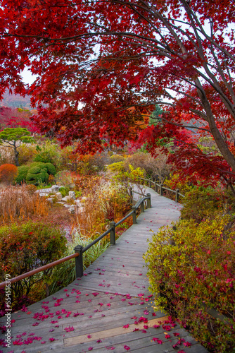 Photography Beautiful autumn colours in South Korea.