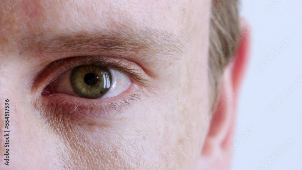 Zoom of man eyes blinking, vision and suspicious isolated on studio