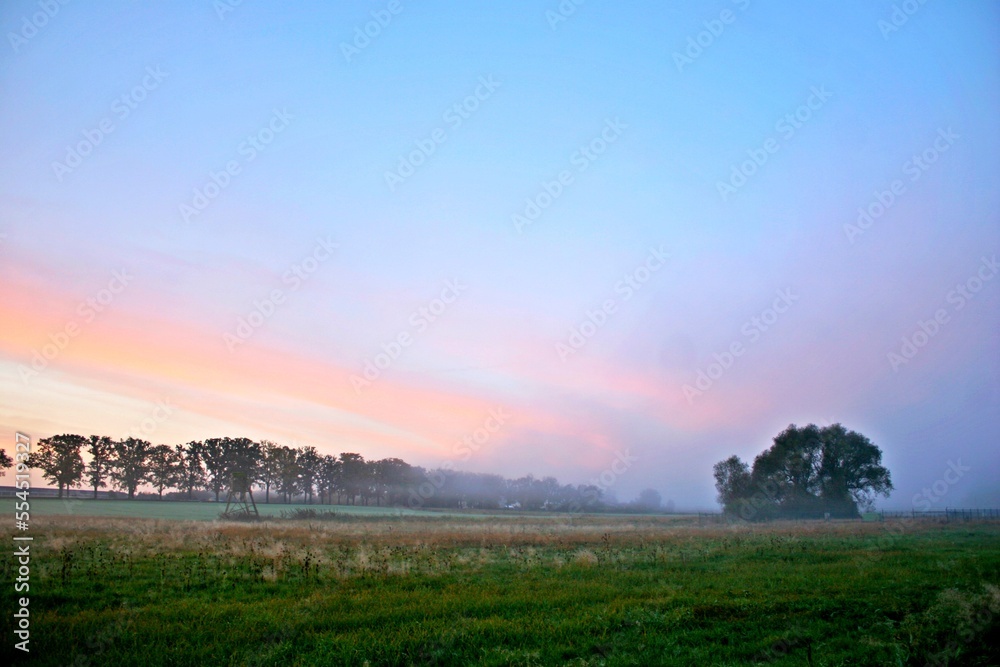 Morgennebel über Landschaft