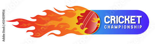 A flaming Cricket Championship Logo, Mnemonic, Symbol, web header, Icon, Banner or Poster Design - Vector, Illustration