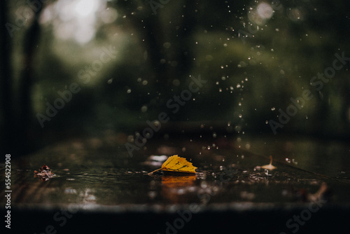 Blatt Regen