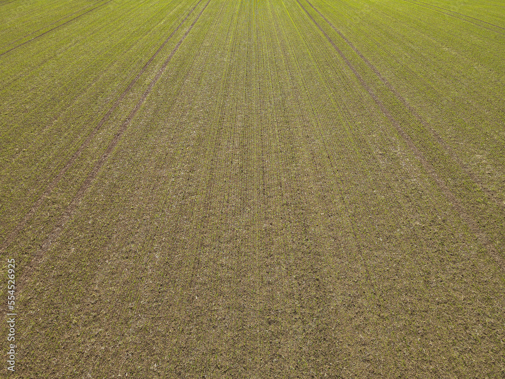Aerial view of a blooming grassland on a warm and sunny day in autumn Aerial view of a blooming grassland on a warm and sunny day in autumn