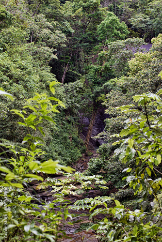 Fototapeta Naklejka Na Ścianę i Meble -  Sault, Errard, Dennery Waterfall at Saint Lucia island Caribbean