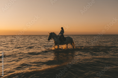portrait of a long-haired girl on a horse in the sea at sunset