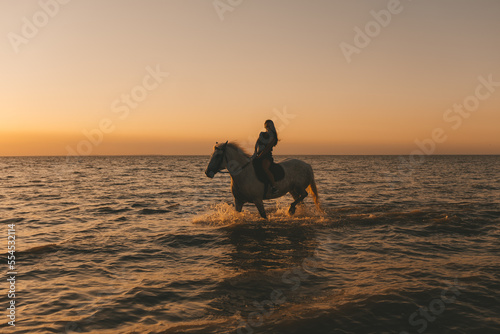 portrait of a long-haired girl on a horse in the sea at sunset