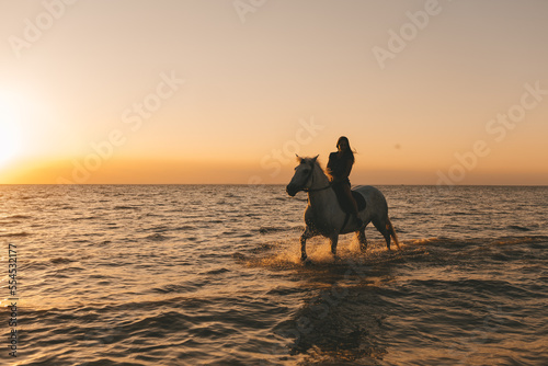 portrait of a long-haired girl on a horse in the sea at sunset