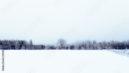 Winter concept. Landscape view on the snowy field and misty frosty forest. Nature background © Gints 