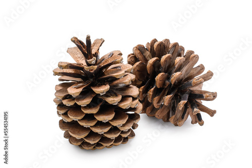 Two cones close-up on a white isolated background. Selective focus on the front bump.