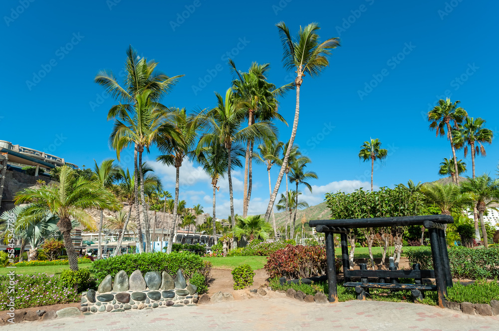 View of a beautiful garden resort with tropical green vegetation, palm trees and flowers in Anfi Del Mar, in Gran Canaria - Canary Island