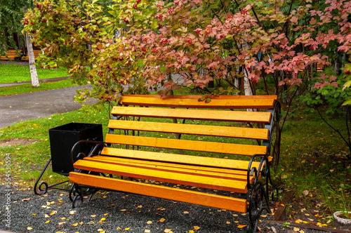 City yellow wooden bench on the street in the autumn park
