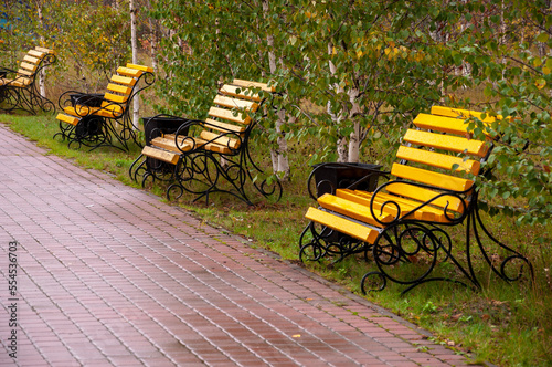 City yellow wooden bench on the street in the autumn park