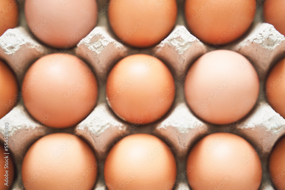 Eggs set. Many food protein. Colorful bright on background. Hard shadow. Easter sun box. Carton organic concept. Traditional cuisine top view. Flatlay Eggs set. Many food protein. Colorful bright on background. Hard shadow. Easter sun box. Carton organic concept. Traditional cuisine top view. Flatlay