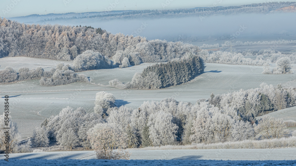 Obraz premium Winterlandschaft: Raureif auf Feldern, Wiesen und Wäldern in der Eifel.