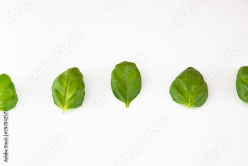 Basil leaves set on a white background