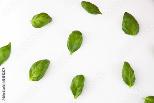 Basil leaves set on a white background