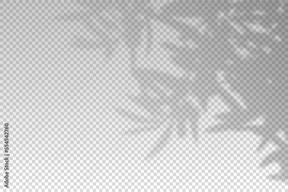 Tree leaf shadow. Plant leaves overlay shade. Soft reflect light from