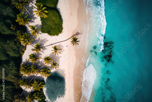 aerial top view of a beach with palm trees, sand, and the sea. Generative AI © 2rogan