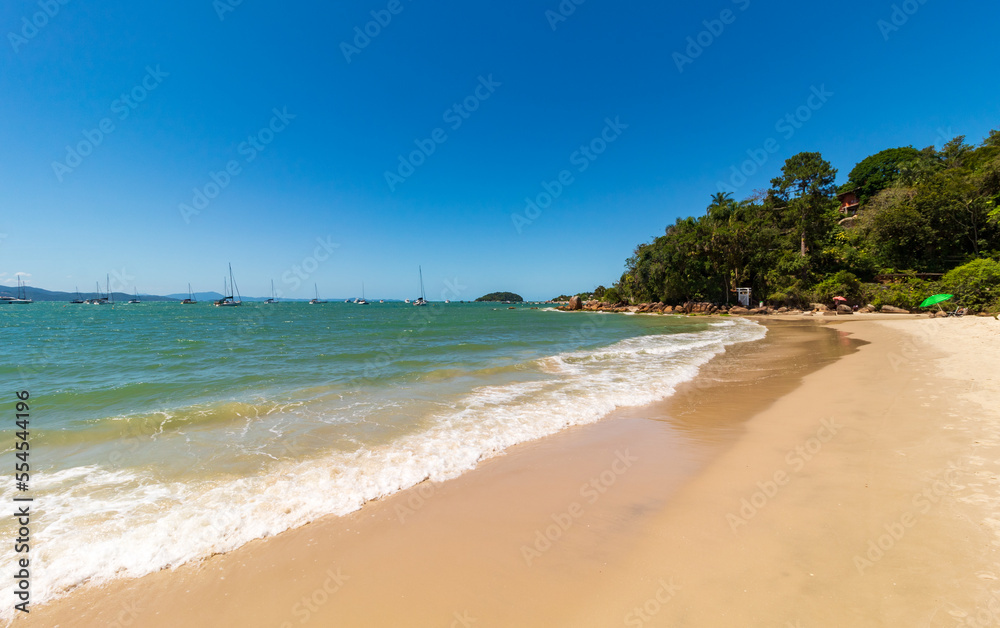 beach with palm trees Jurerê beach Florianopolis Santa Catarina Brazil Florianópolis Jurere national and international beach with palm trees Jurerê beach Florianopolis Santa Catarina Brazil Florianópolis Jurere national and international