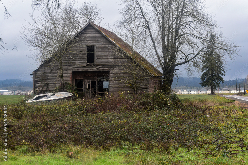 Obraz premium here for you to enjoy