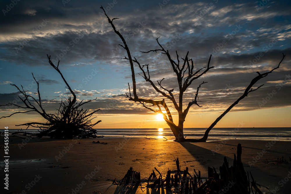 Sunrise at Driftwood Beach at Botany Bay on Edisto Island in South Carolina Sunrise at Driftwood Beach at Botany Bay on Edisto Island in South Carolina