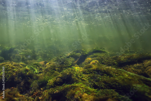 sun rays under water landscape, seascape fresh water river diving