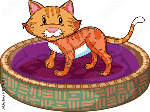 cute cat in differnet actions illustration