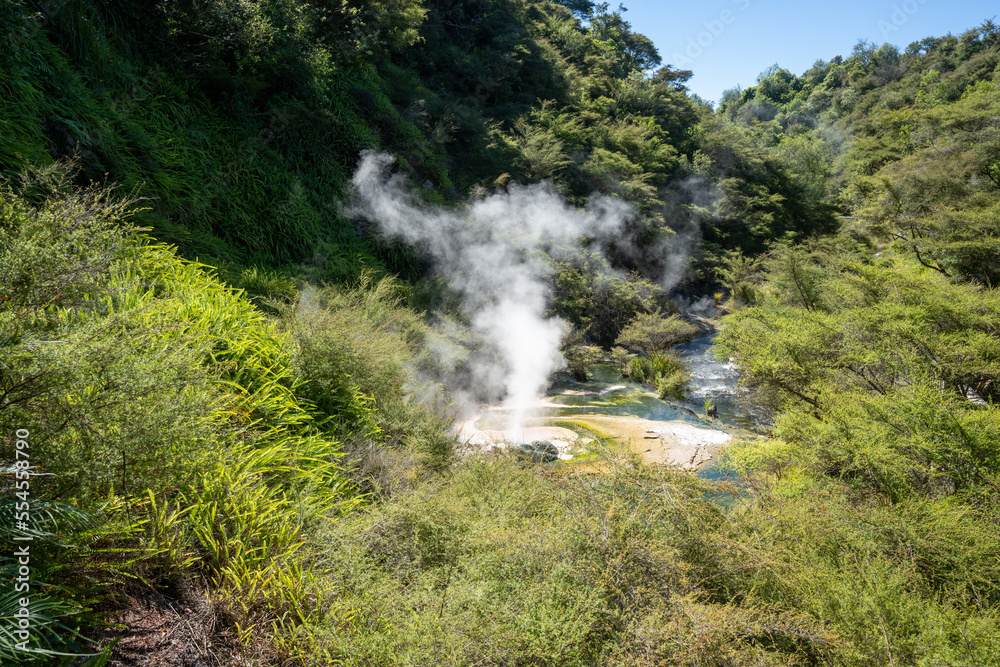 Steam rising at waimangu volcanic valley in Rotorua New Zealand