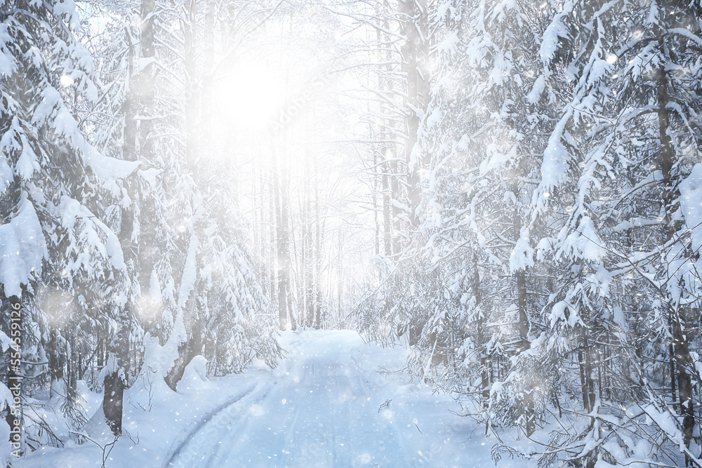 Fototapeta premium winter background snowfall trees abstract blurred white