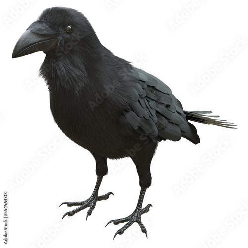 Raven isolated on white background 3d illustration