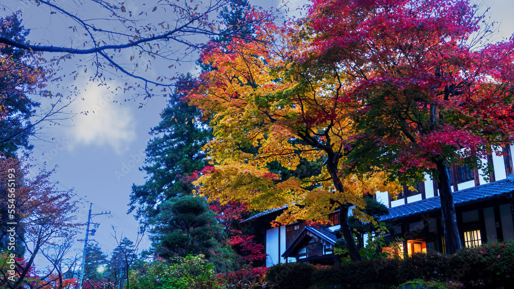 traditional Japanese room open to view of beautiful colorful view traditional Japanese room open to view of beautiful colorful view