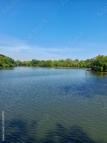 lake and forest
