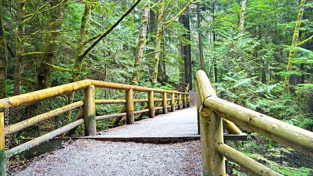 Αυτοκόλλητο Wooden footbridge on Cheakamus Lake trail, near Whistler, BC, after summer rain
