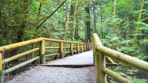 Canvas Print Wooden footbridge on Cheakamus Lake trail, near Whistler, BC, after summer rain